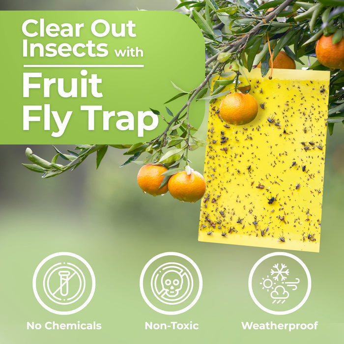 Fruit Fly Trap (20 Pack), Double-Sided Yellow Sticky Traps (Indoor & Outdoor), Fruit Fly Traps for Kitchen & Plants, Fruit Fly Killer - Sticky Gnat Trap Indoor Solution, Fungus Gnat Traps